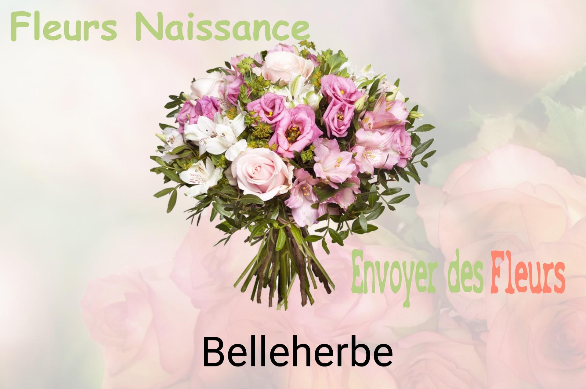 Bouquet de fleurs de naissance livré à Belleherbe